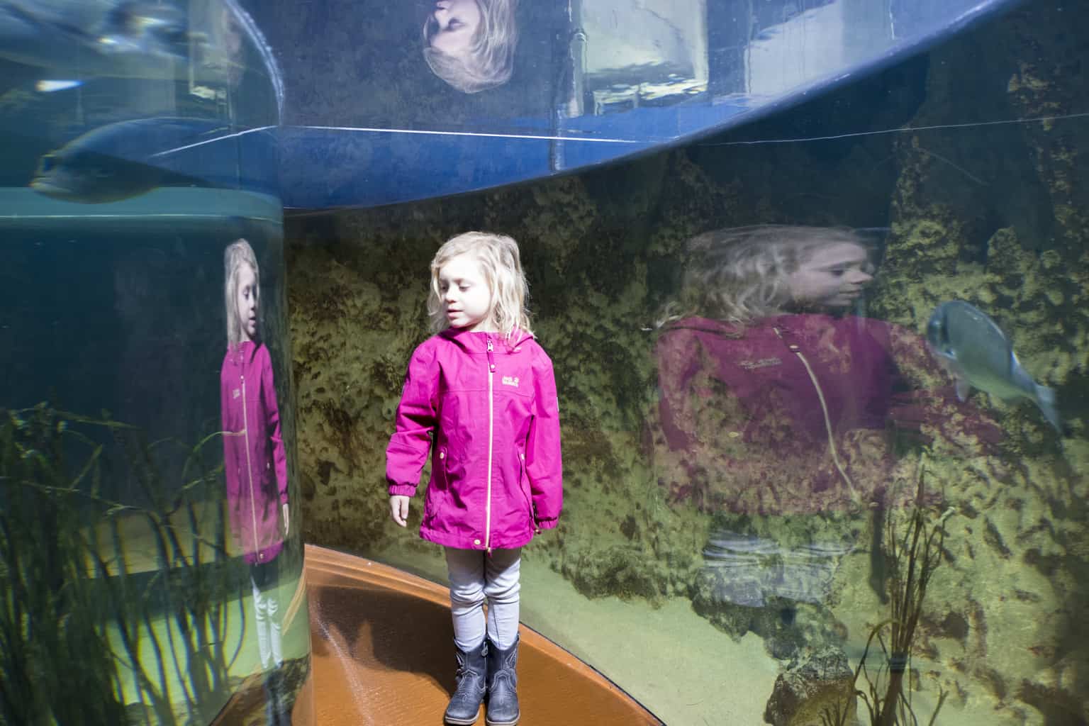 aquarium-malta-met-kinderen (4) Aquarium malta met kinderen