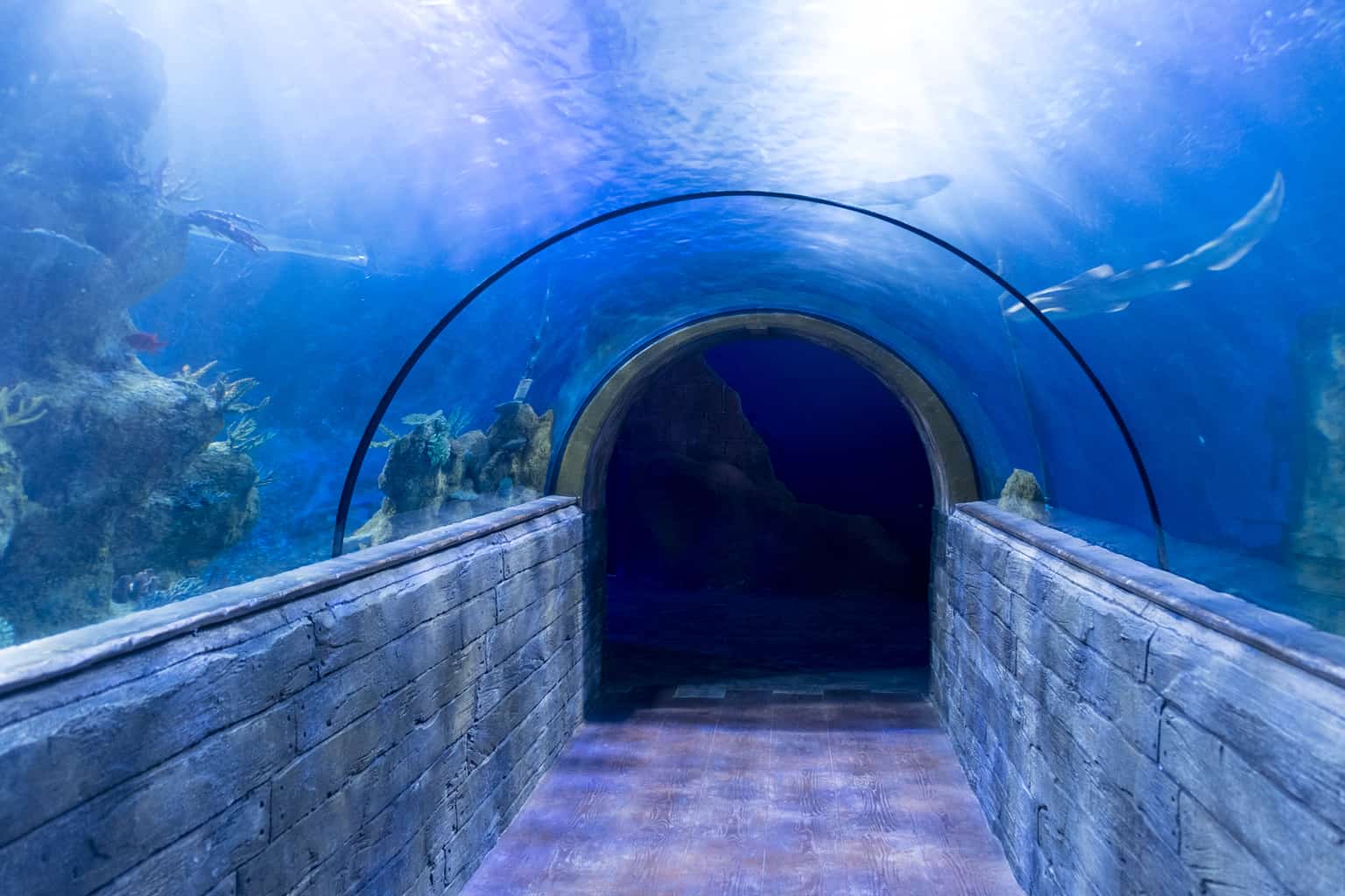 aquarium-malta-met-kinderen (6) Aquarium malta met kinderen
