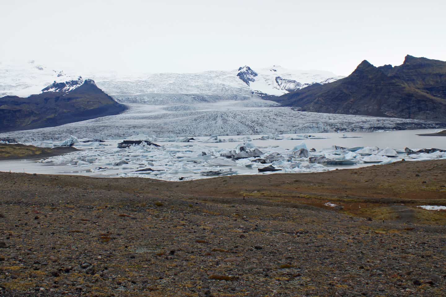 Fjallsárlón ijsmeer ijsland