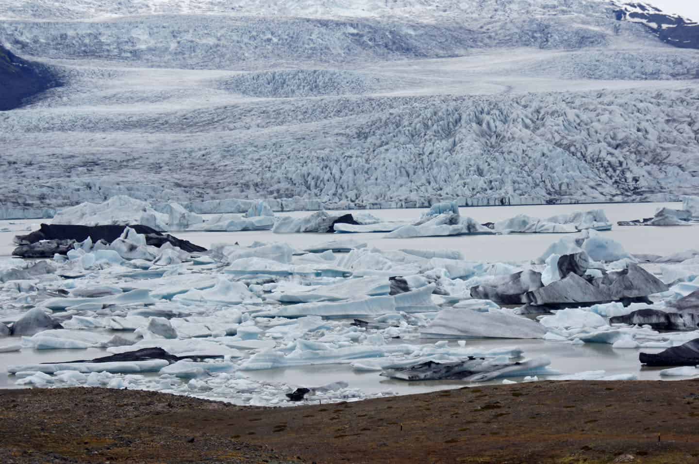 Fjallsárlón ijsmeer ijsland