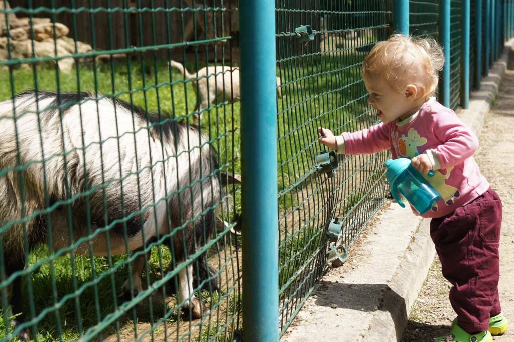 Parc Merveilleux