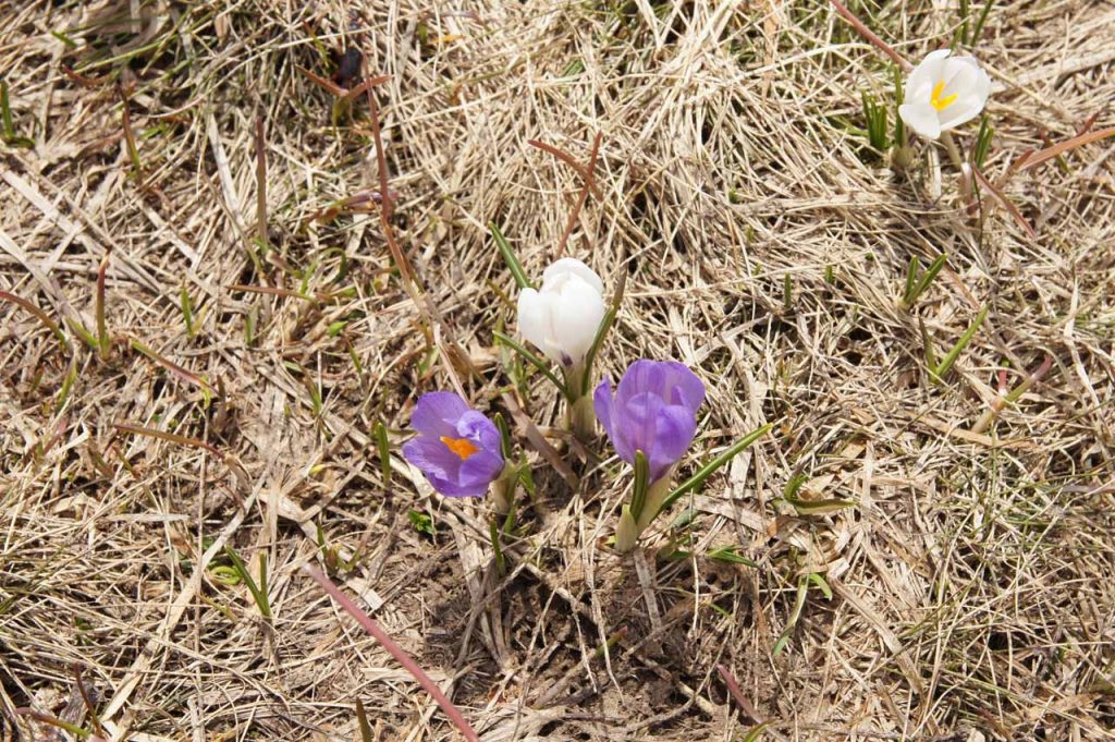 bergmeren wandeling alpe d huez