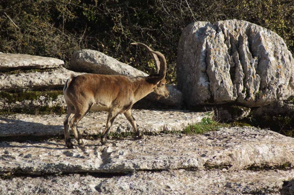 El Torcal National Parc