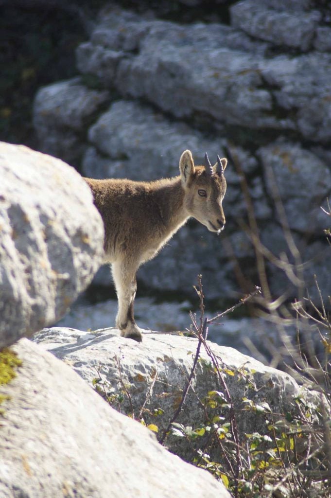 El Torcal National Parc