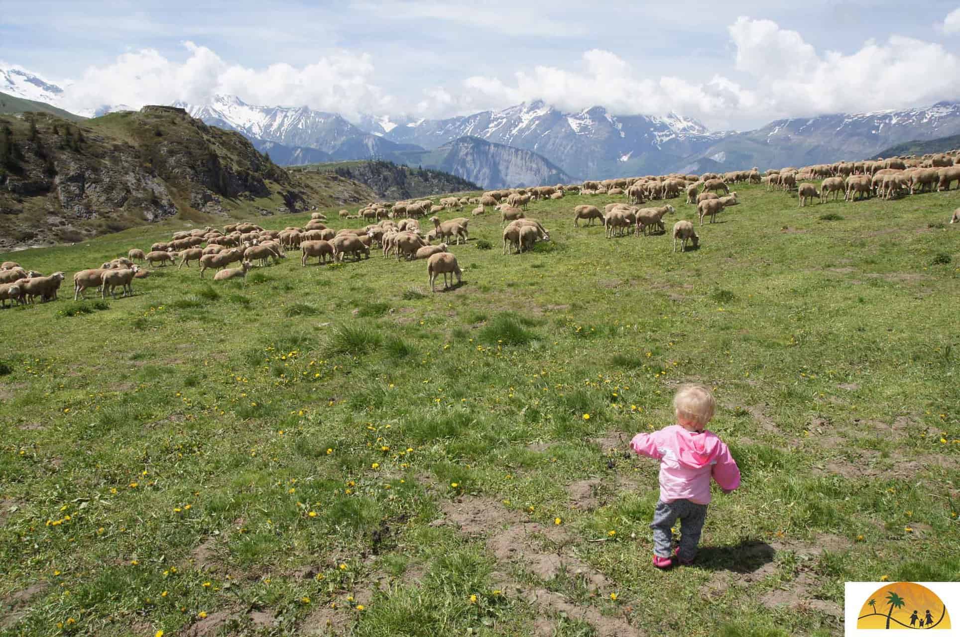 bergwandelen met baby