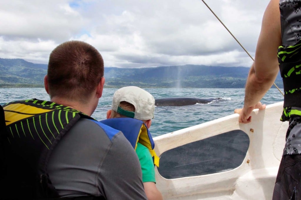 walvis costa rica