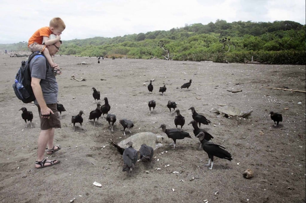 Vakantie costa rica met kinderen