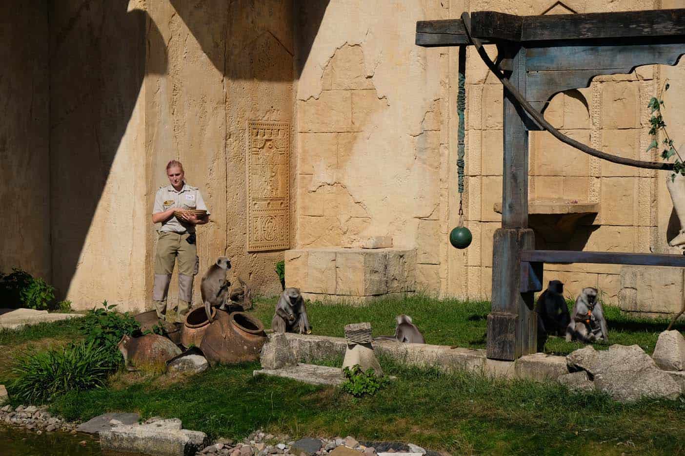 hannover met kinderen dierentuin