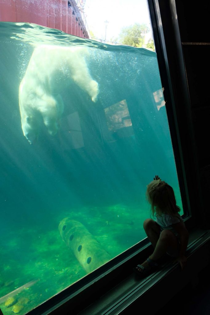 hannover met kinderen dierentuin