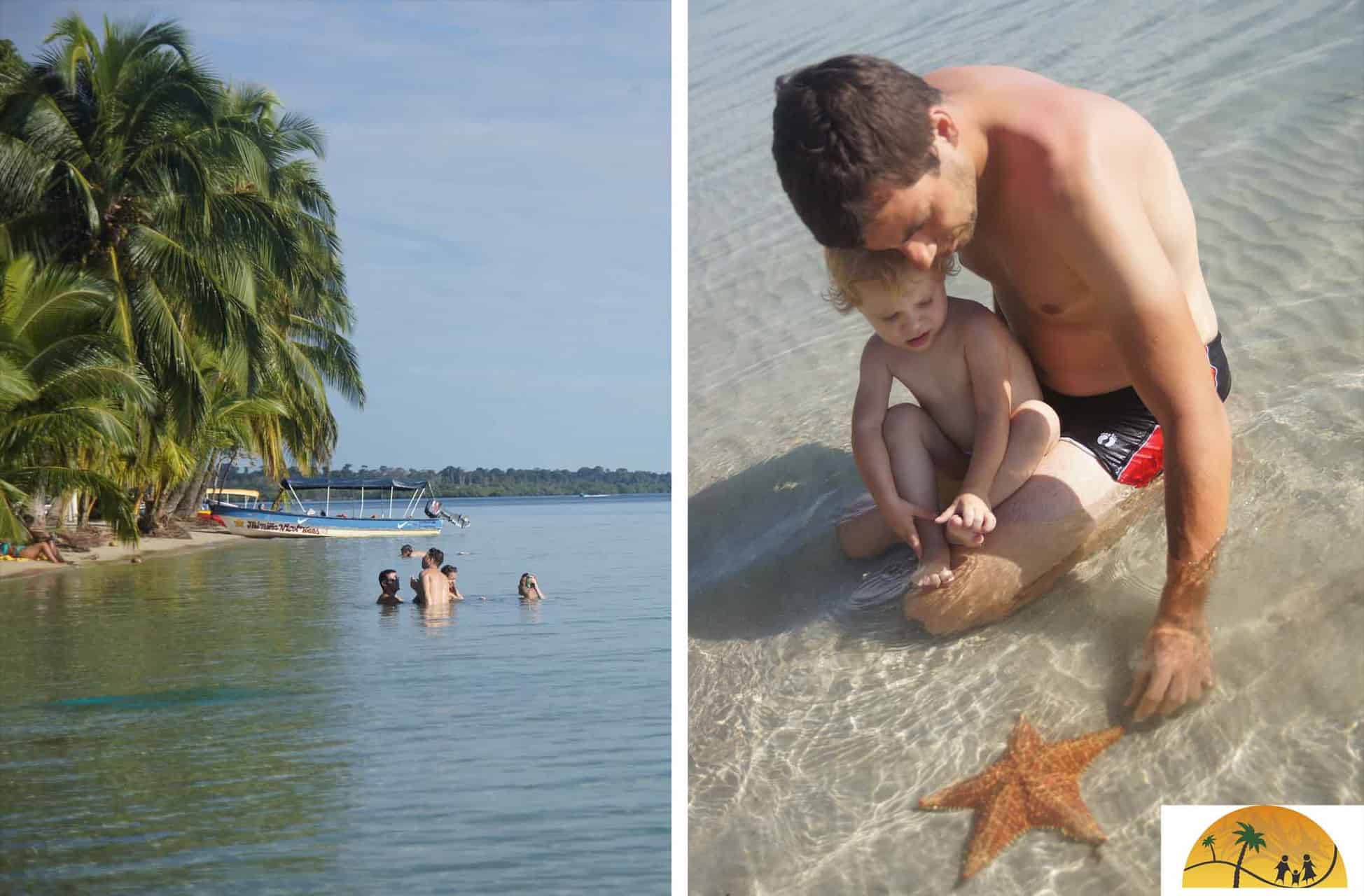 starfish beach