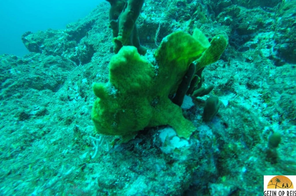 Isla de coiba