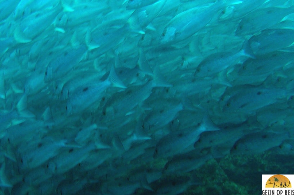 Isla de coiba