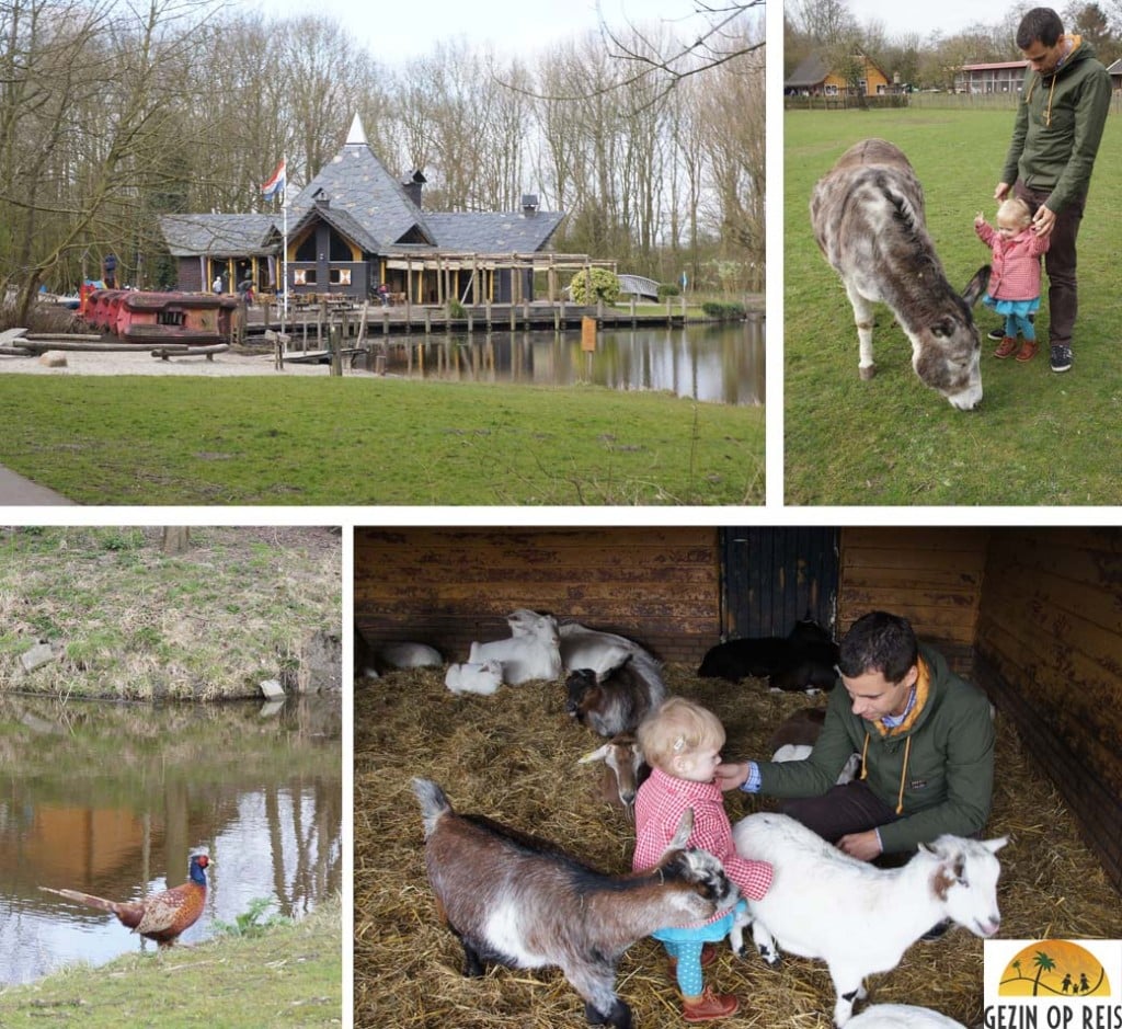 Natuurgebied de Delftse Hout