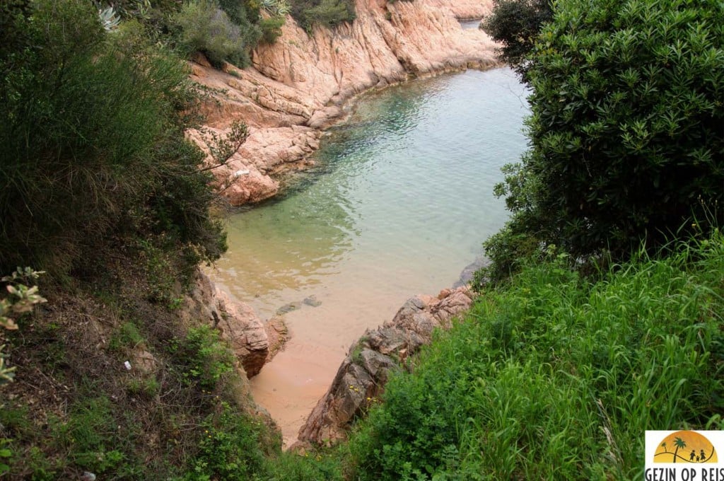 Cami de ronda