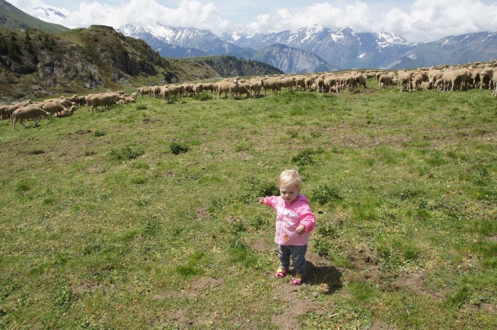 Wandelen met baby in de bergen