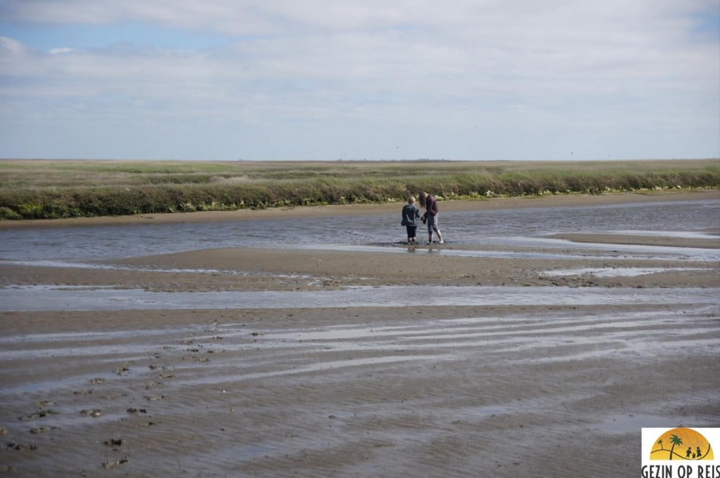 Waddeneiland denemarken