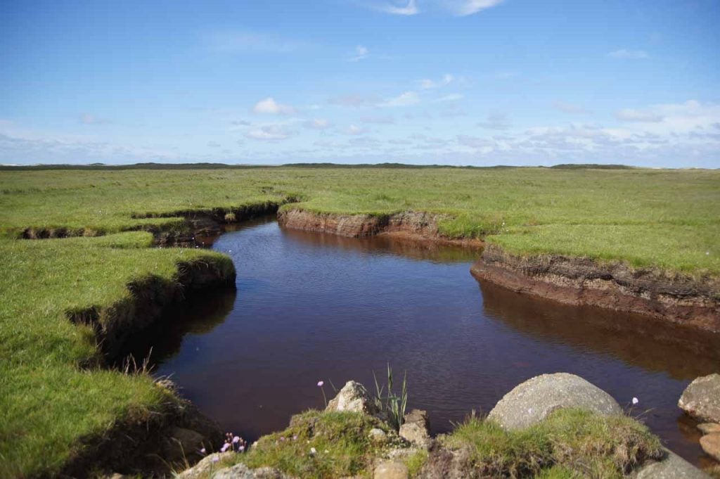 Skallingen national park