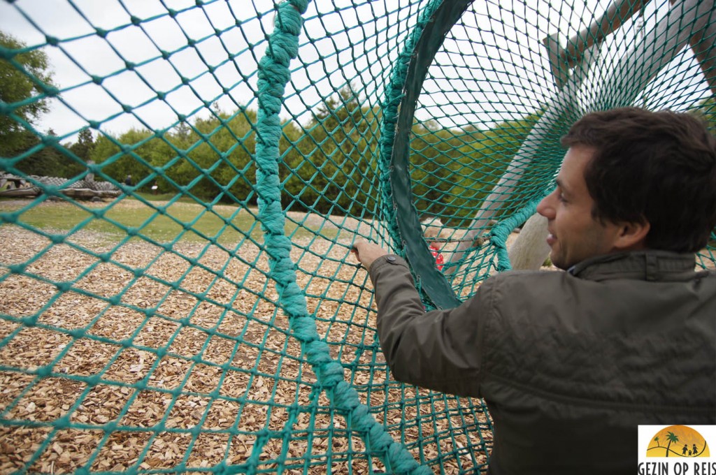 Forrest playground