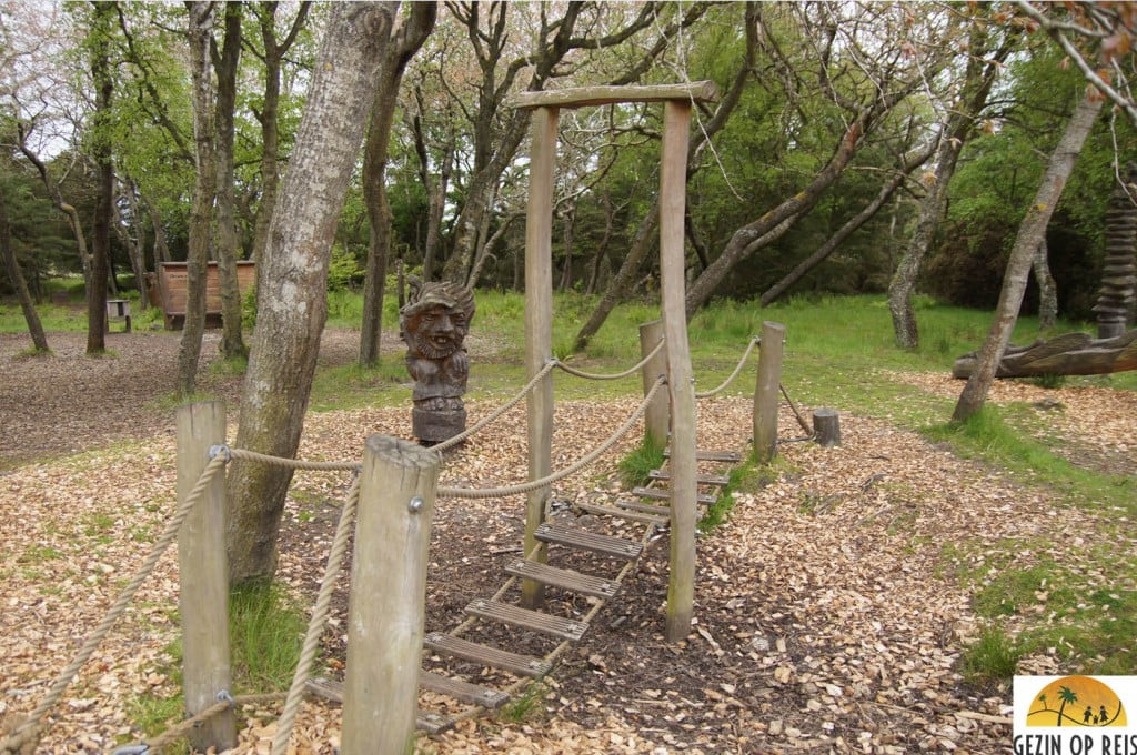 Forrest playground