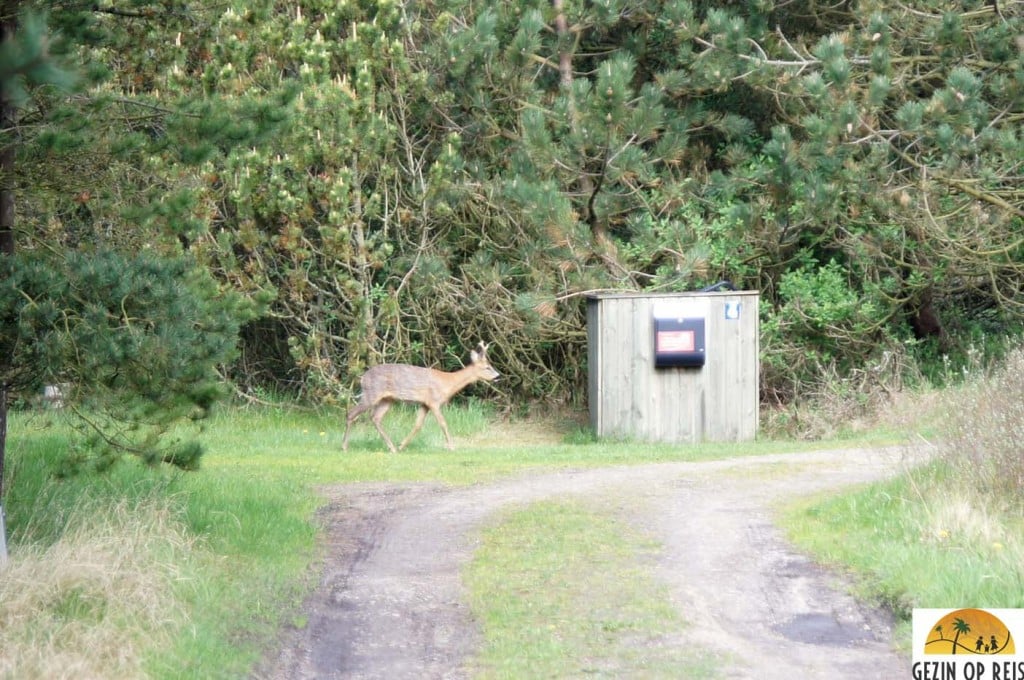 huisje huren in denemarken