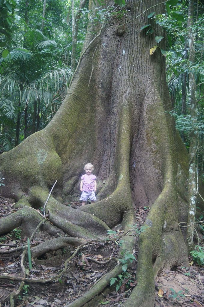 Soberania National Park 