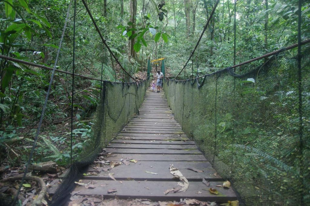 Soberania National Park wandeling