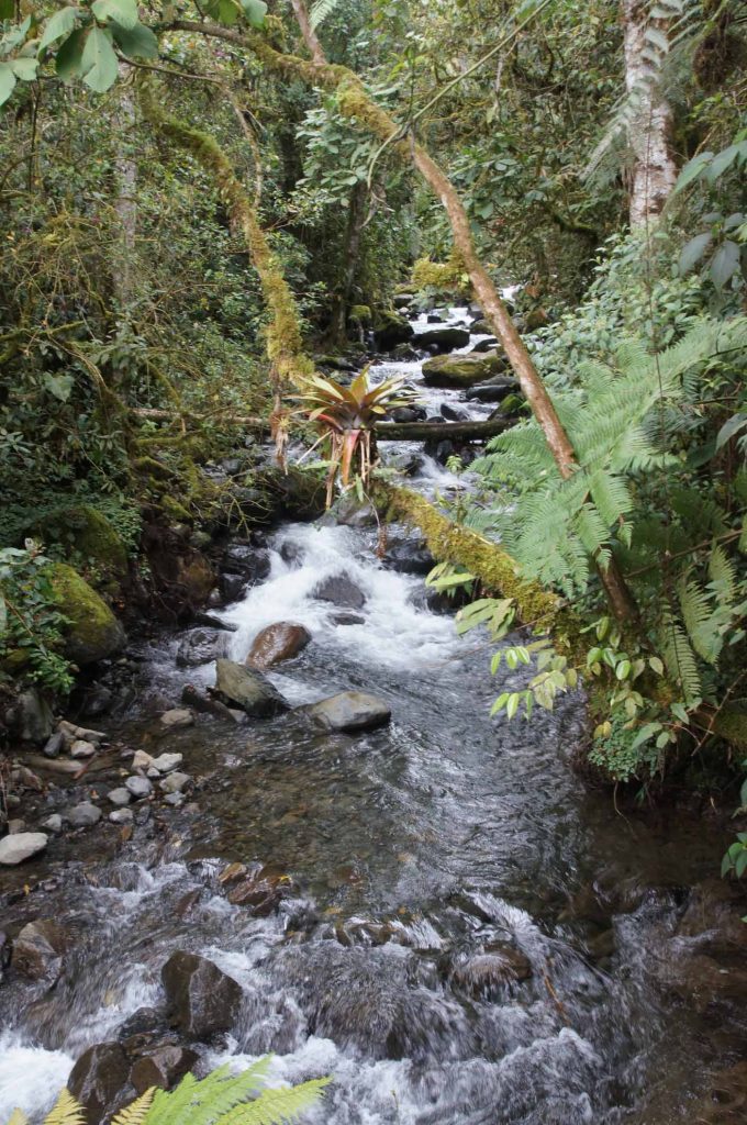 La Amistad National Park 