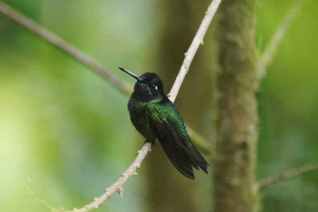 La Amistad National Park