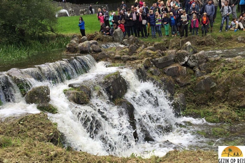 Waterspelen Kassel