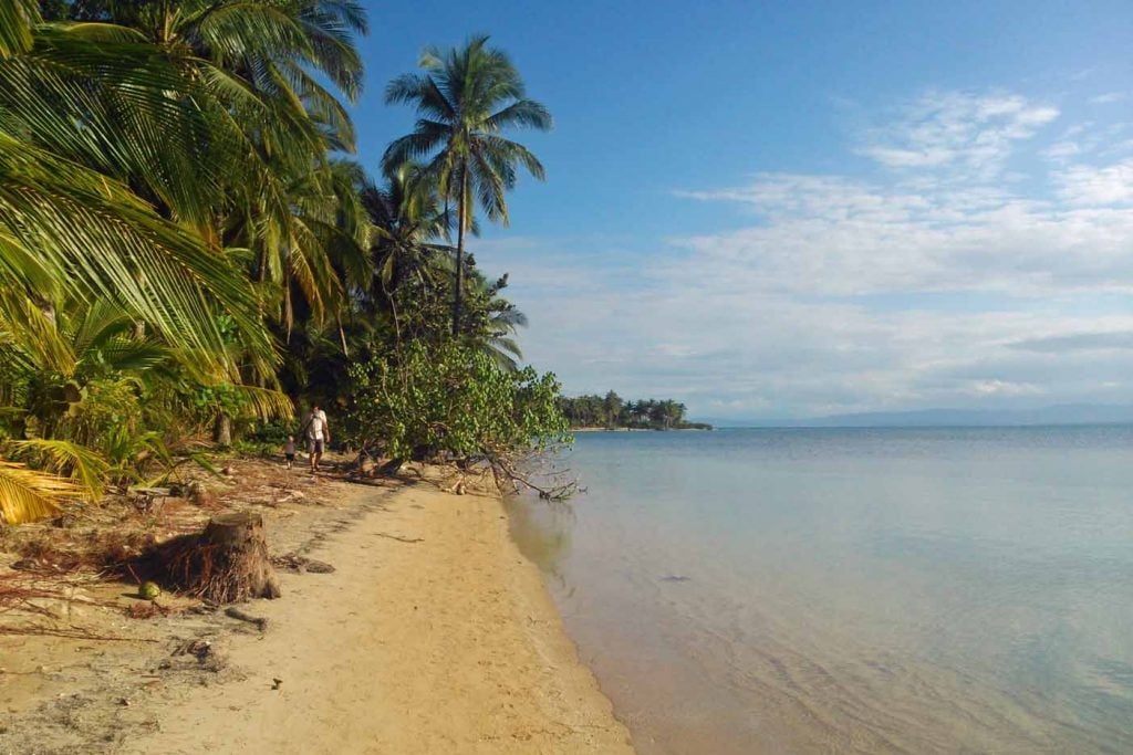 Bocas del toro