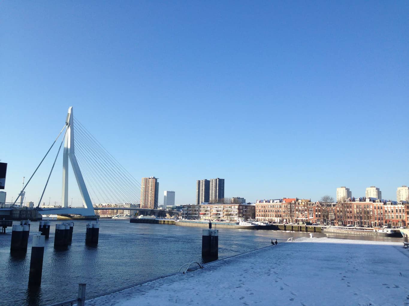 Rotterdam in de winter