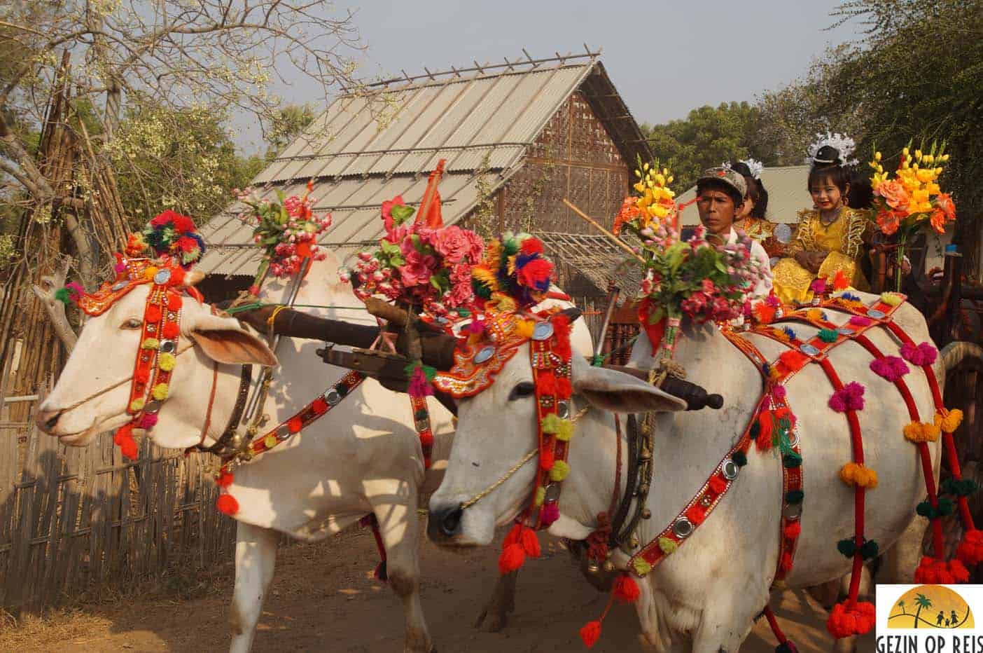 festival bagan