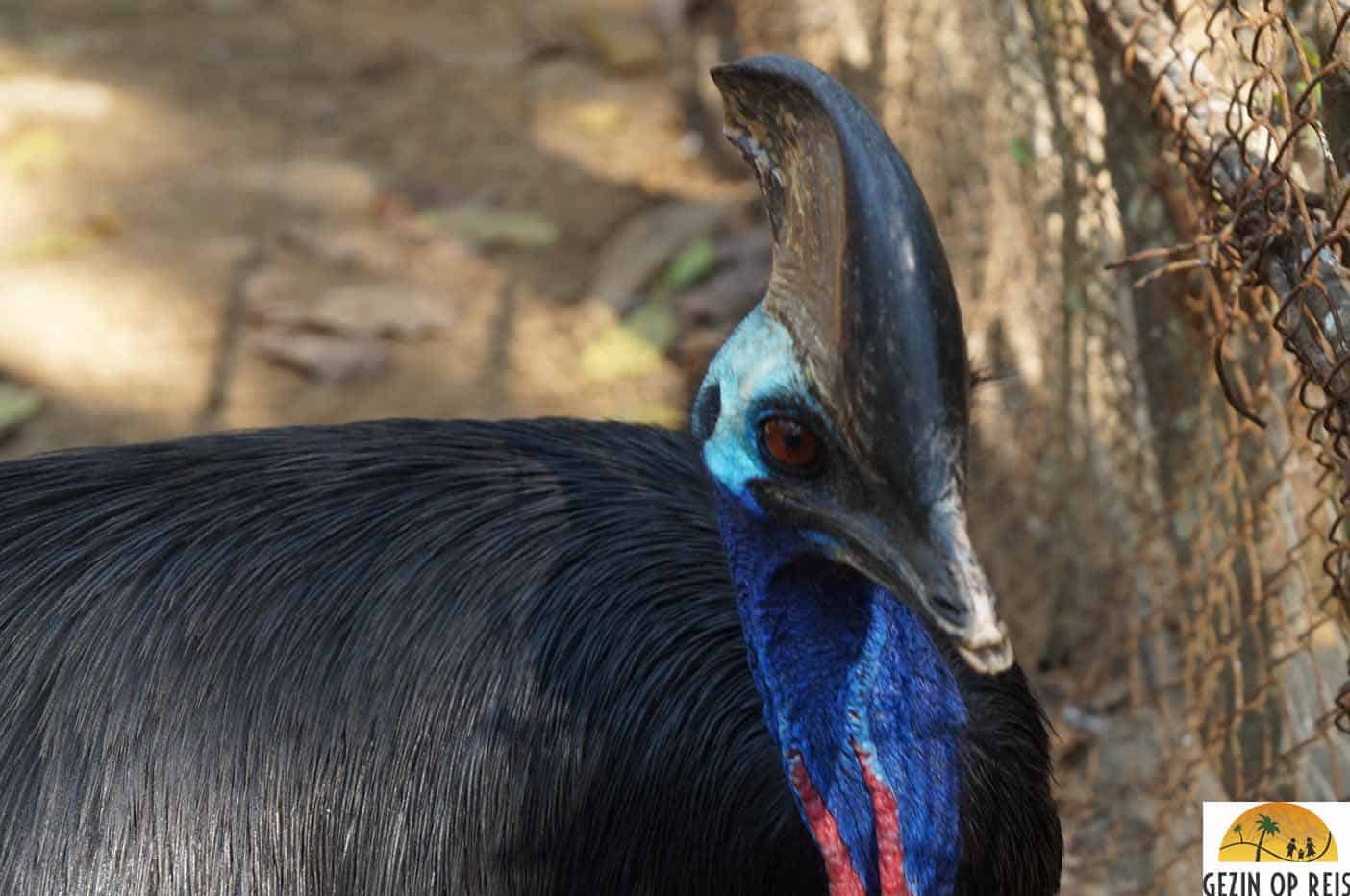 Dierentuin Yangon