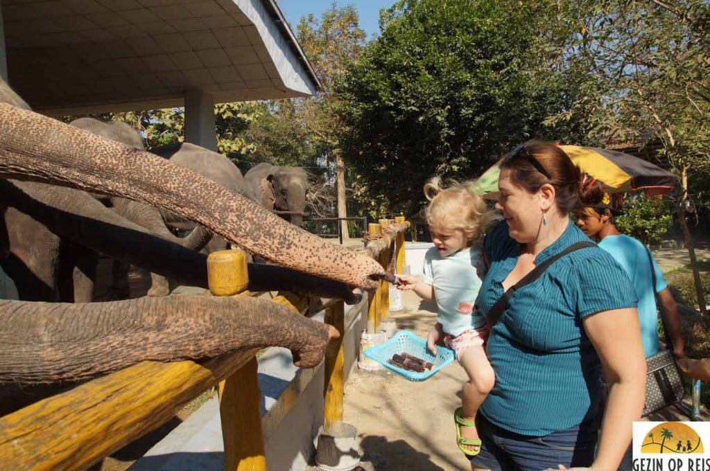 Dierentuin Yangon