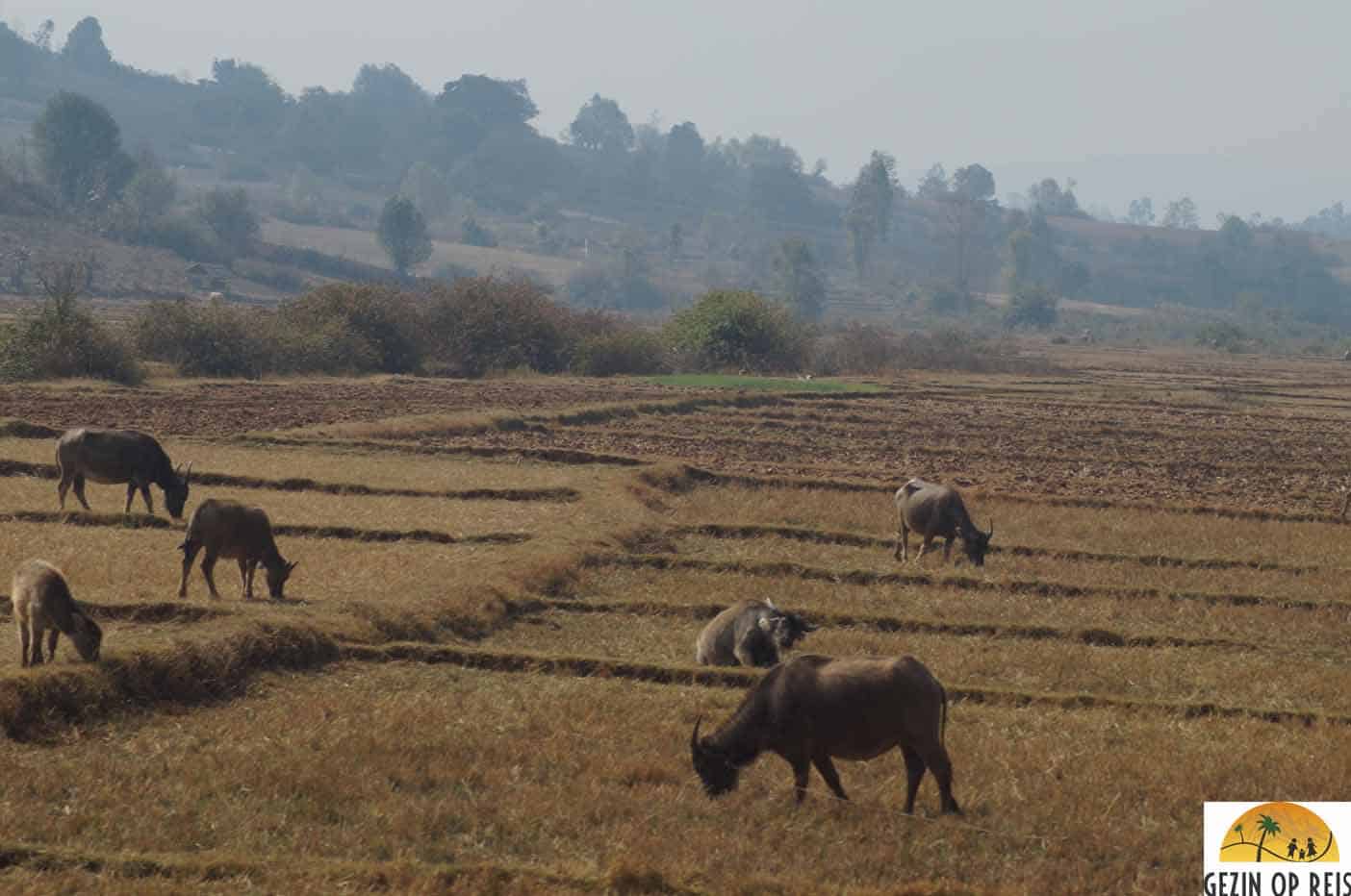 trein kalaw myanmar