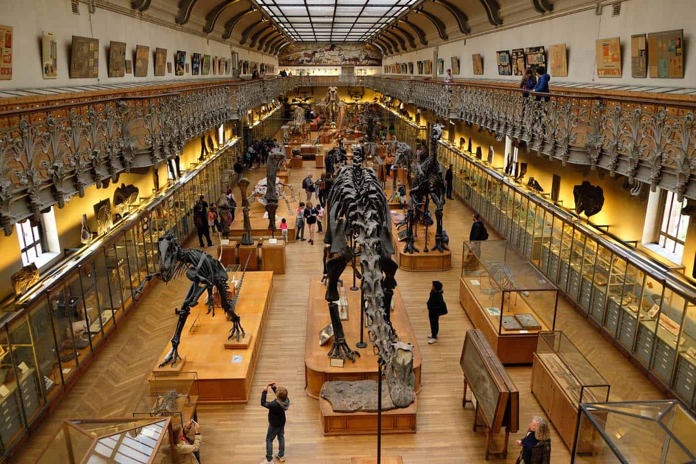 Galeries d'Anatomie Comparée et de Paléontologie