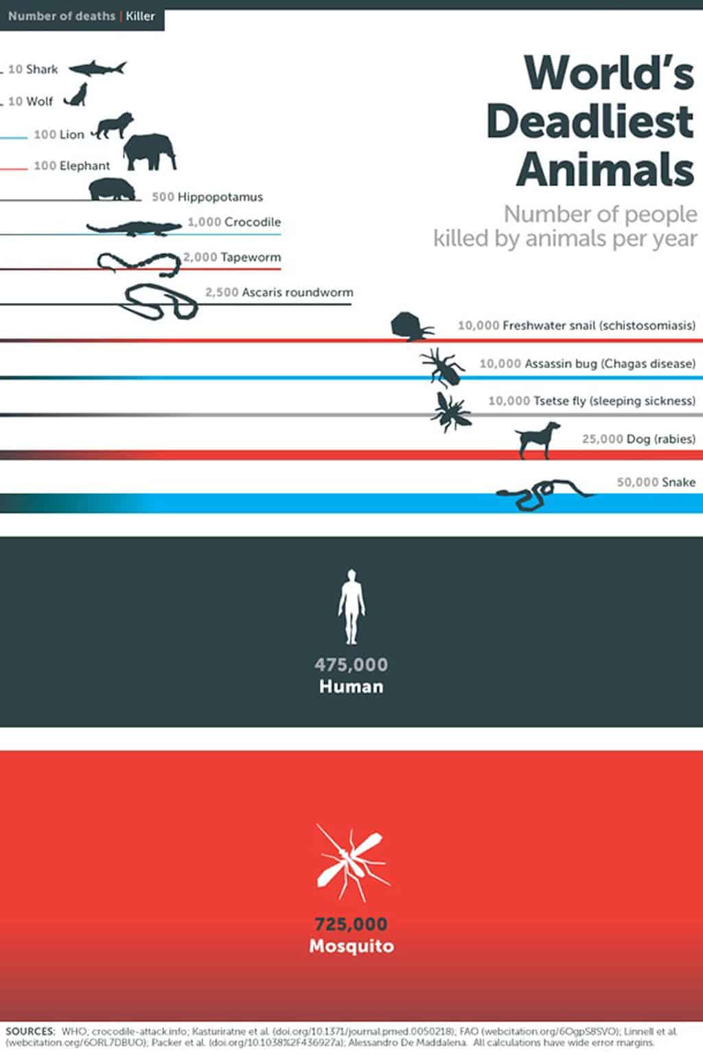 infographic