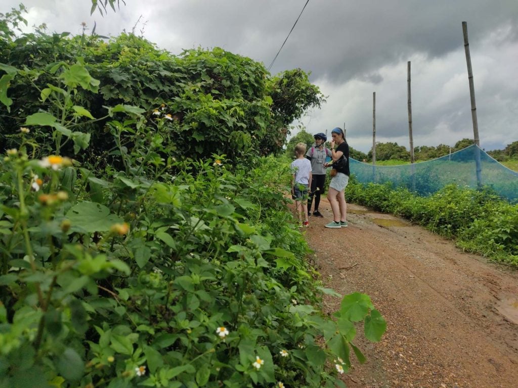 Chiang Mai mountainbiken