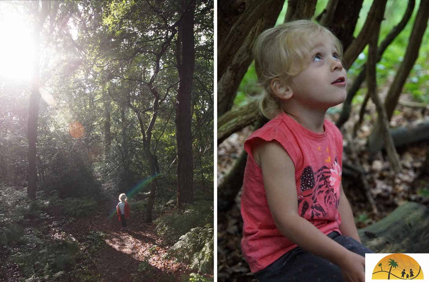 huisje in het bos