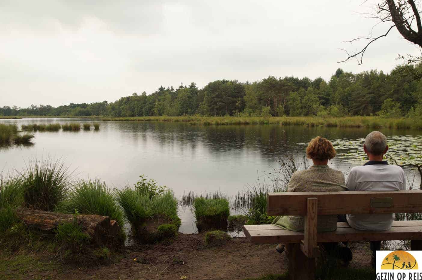 huisje in het bos