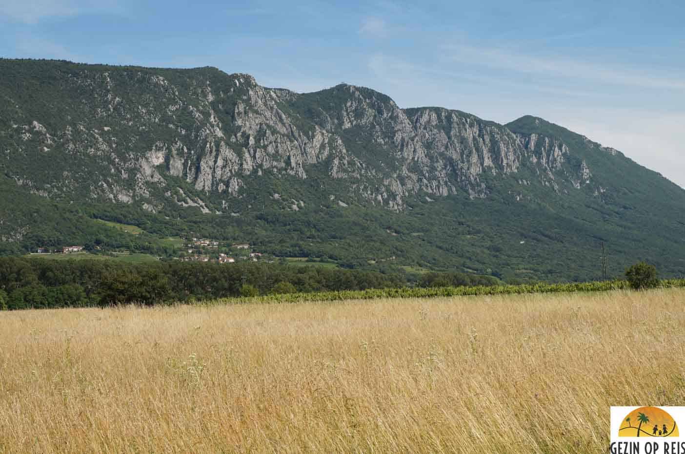 vipava vallei