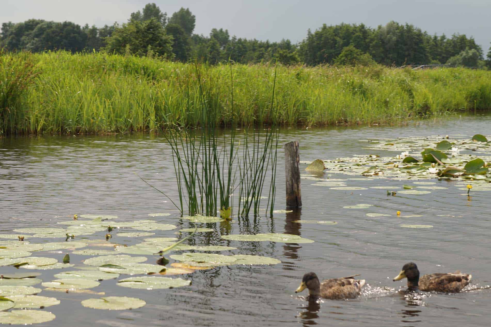 Giethoorn met kinderen