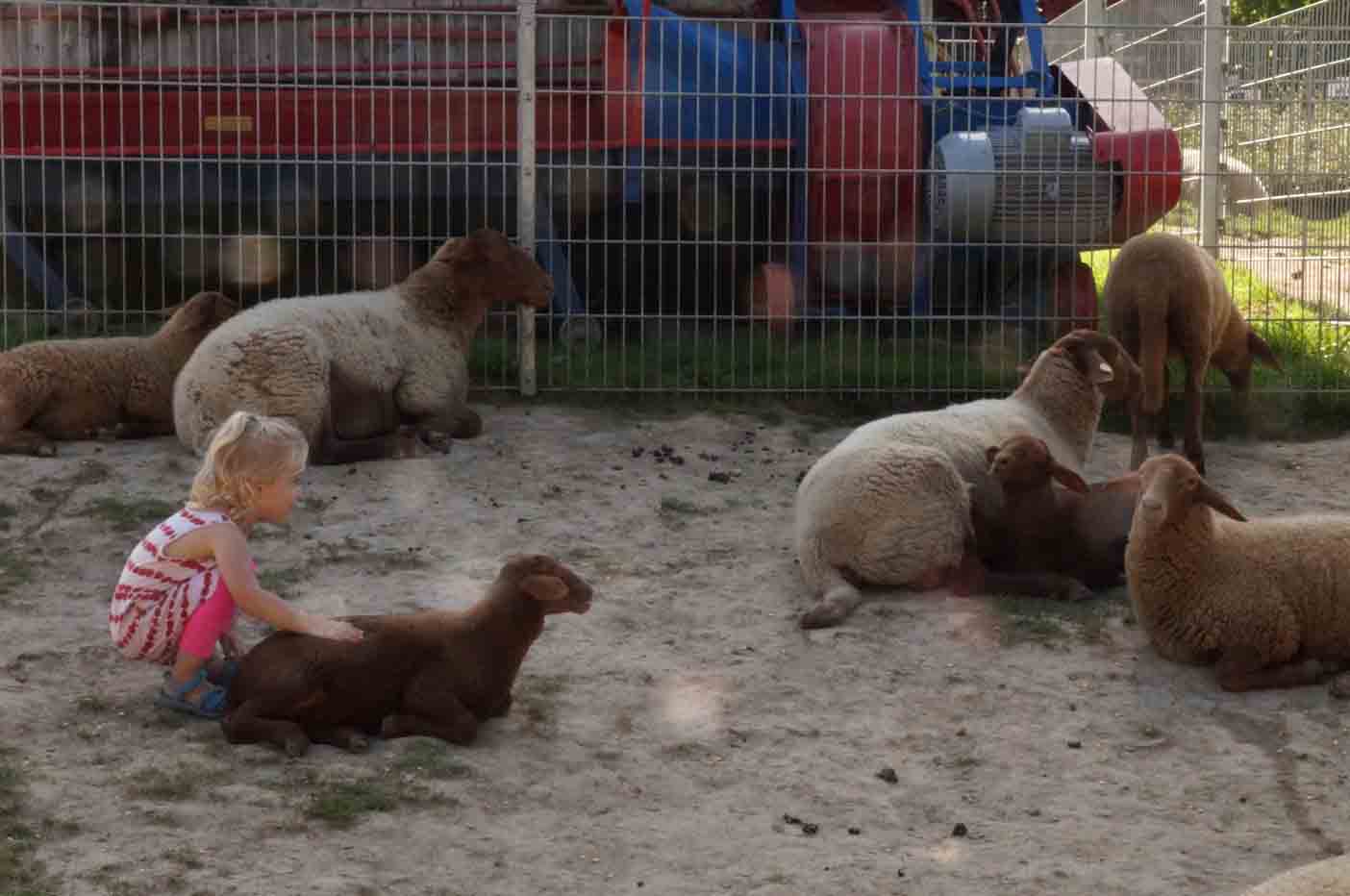 pretpark Lochmühle kinderboerderij