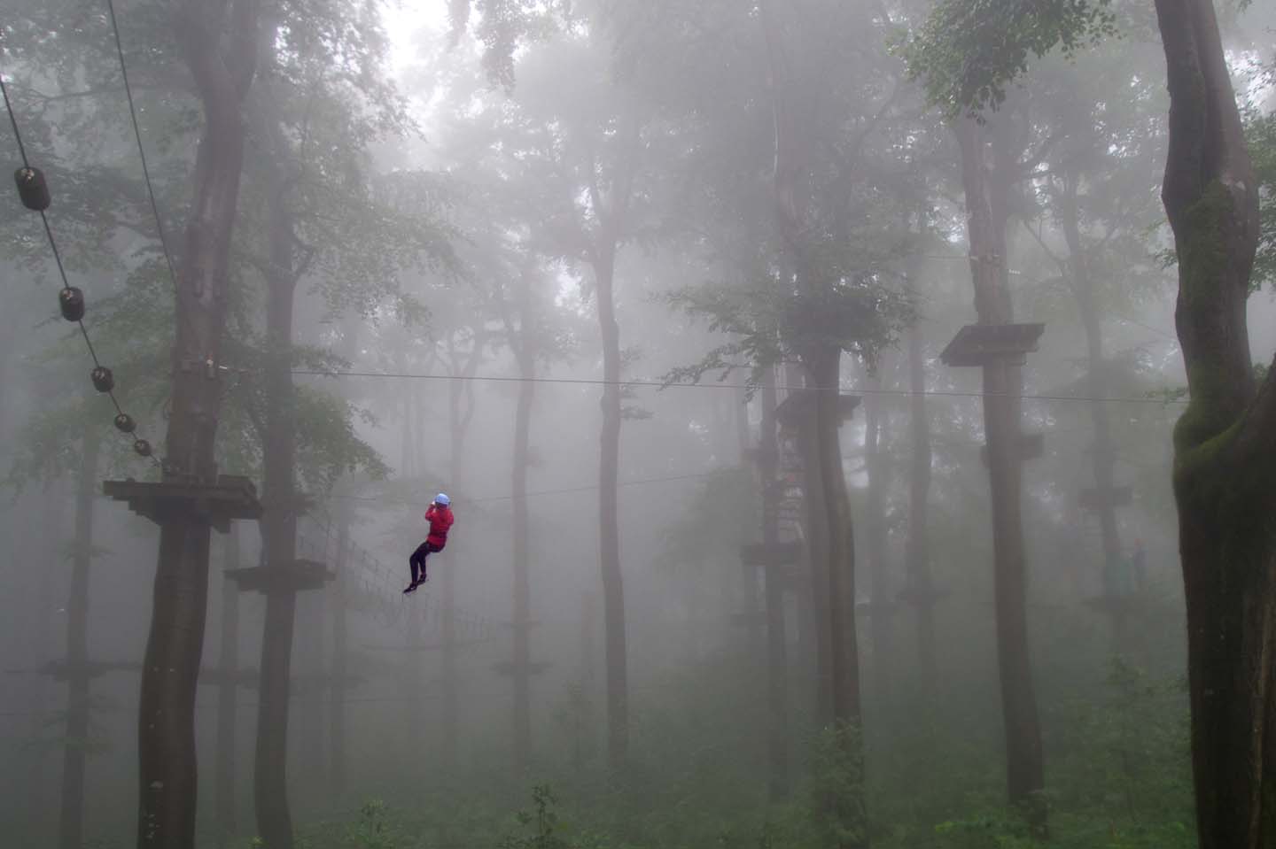 vogelsberg adventure park