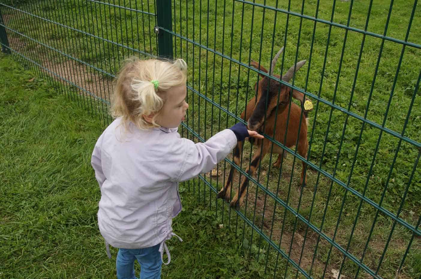  Freizeitpark Vulkan