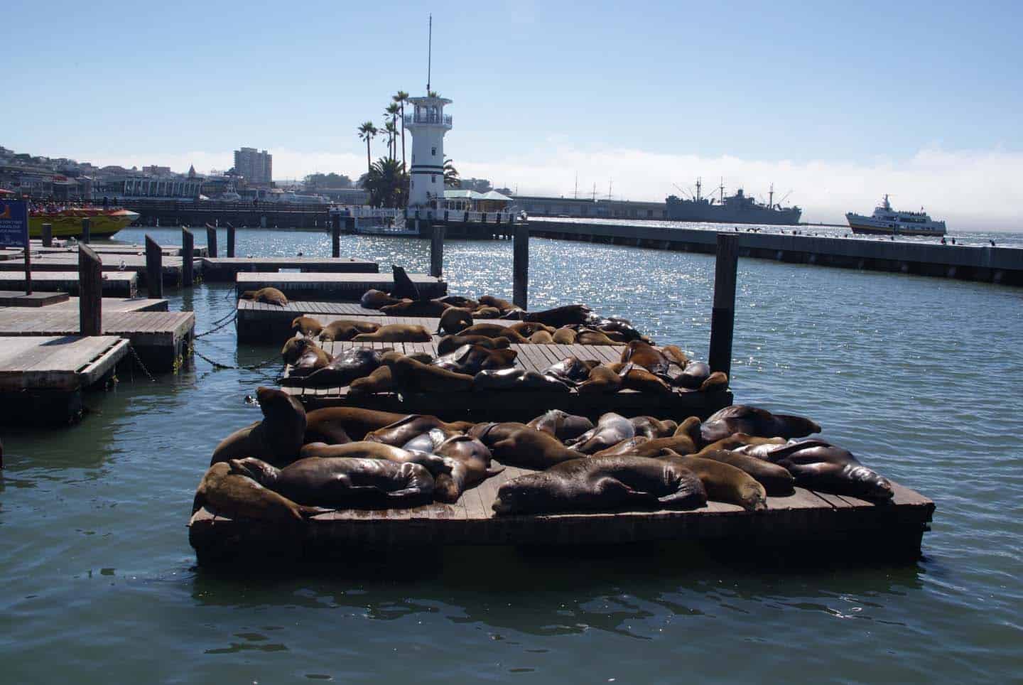 san fransisco met kinderen