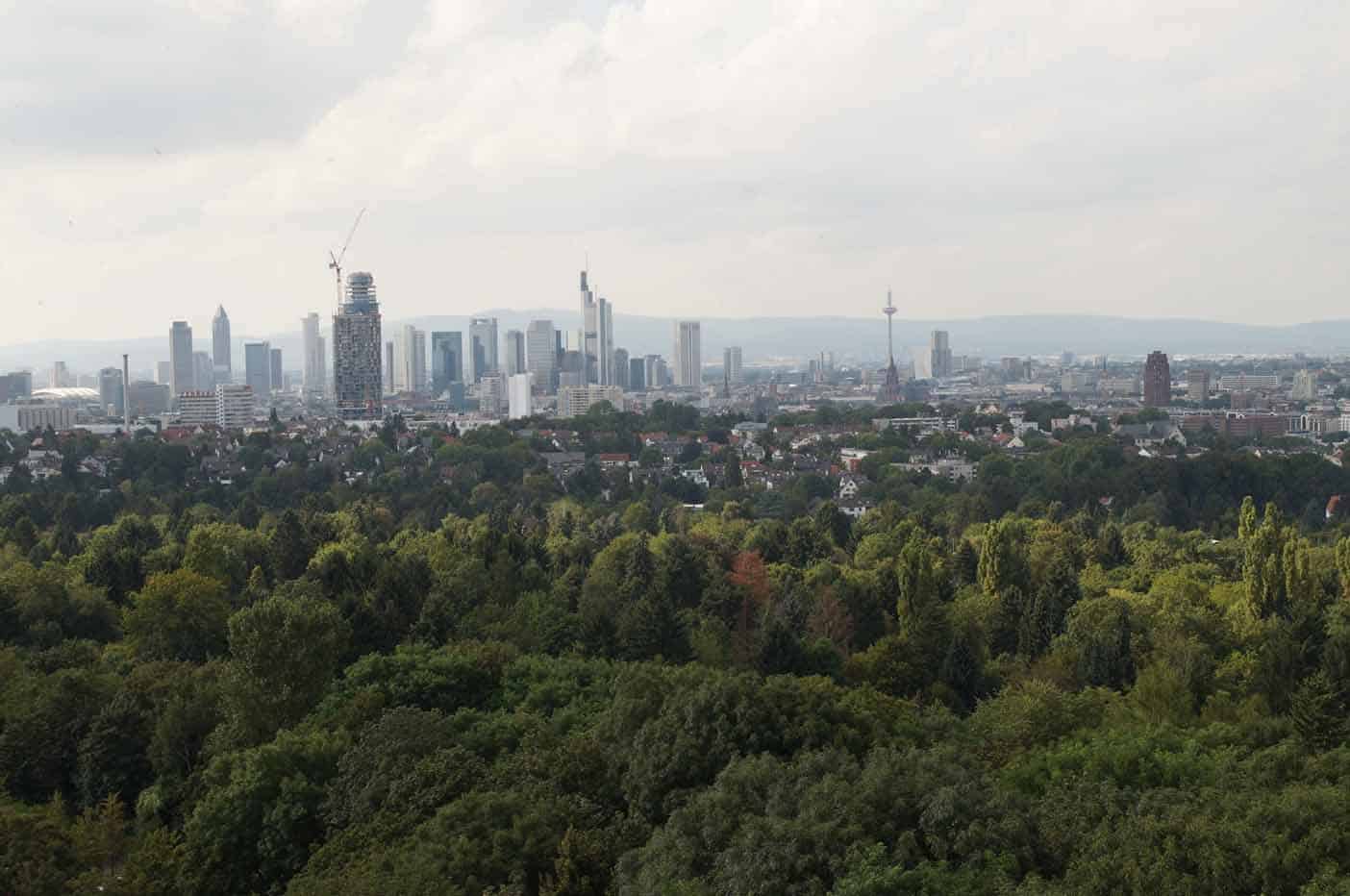 Bos speeltuin met Goethe toren