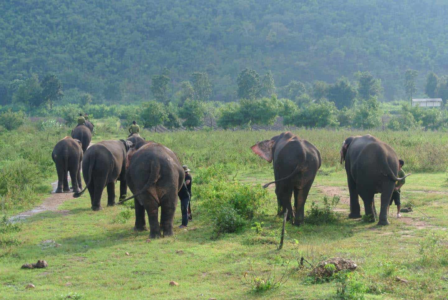 Kanchanaburi met kinderen