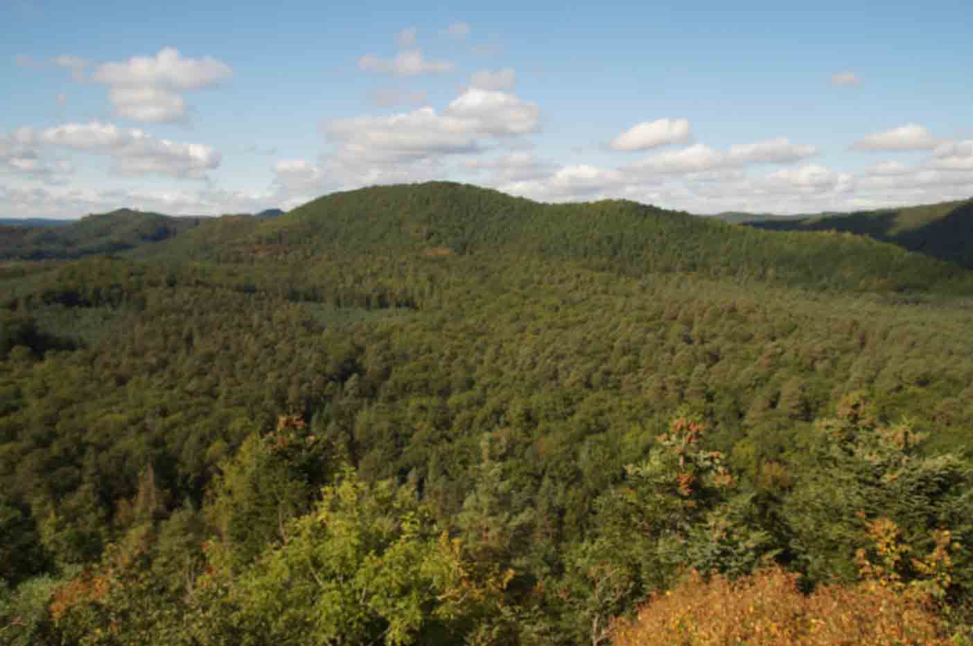 wandelen vogezen