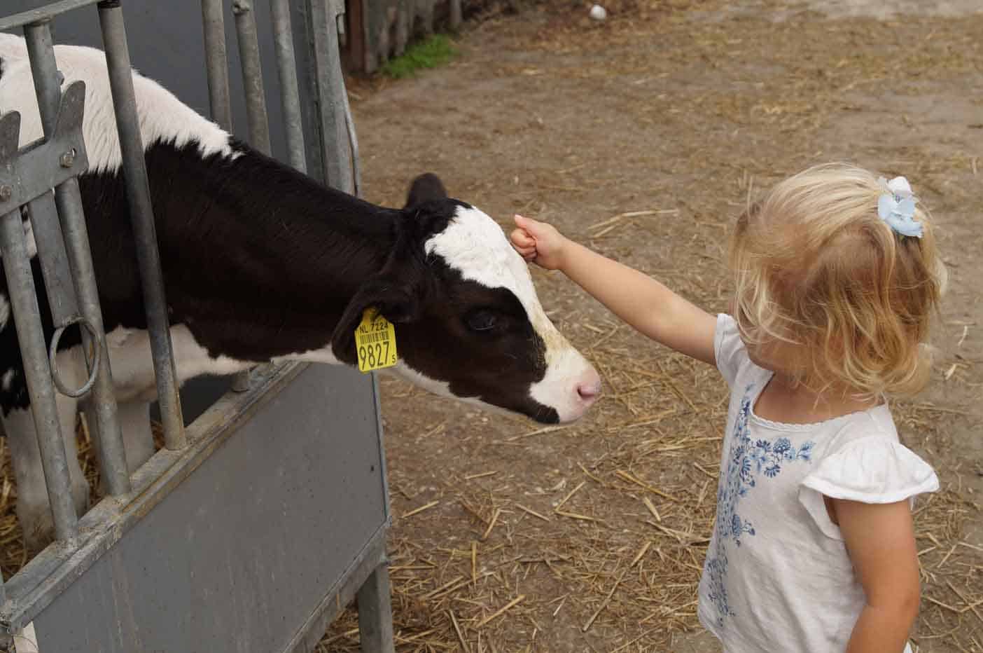 IJsboerderij Boere Iis